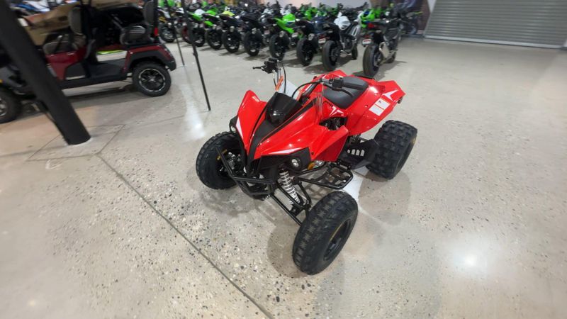 New 2027 Kayo STORM 300 Image 2