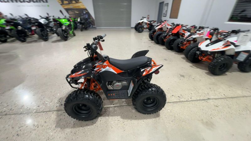 New 2026 Kayo STORM 70  in a BLACK exterior color. Victorville Del Amo Motorsports 760-241-7387 delamomotorsportsofvictorville.com 