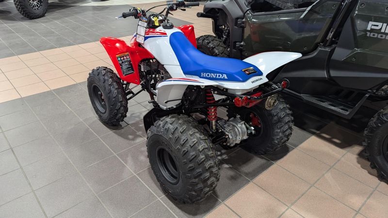 2025 Honda TRX 250X REDImage 3