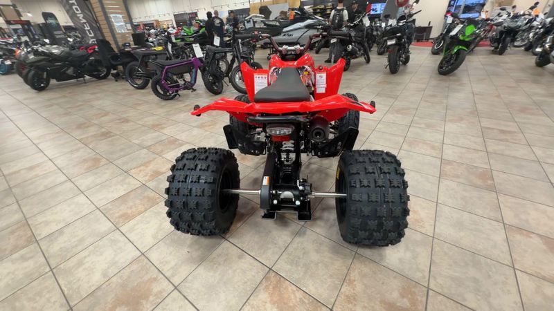 New 2026 Kayo STORM 300 Image 8
