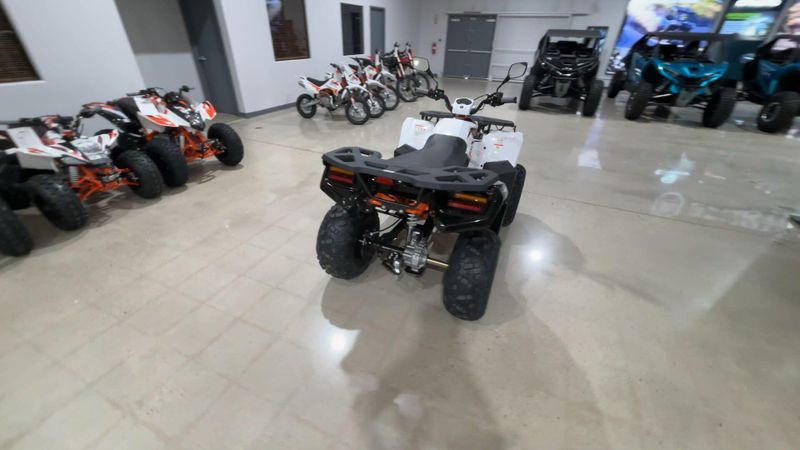 New 2026 Kayo BULL 300 EFI Image 5