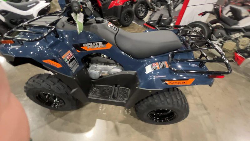 New 2026 Kawasaki BRUTE FORCE 300 Image 4