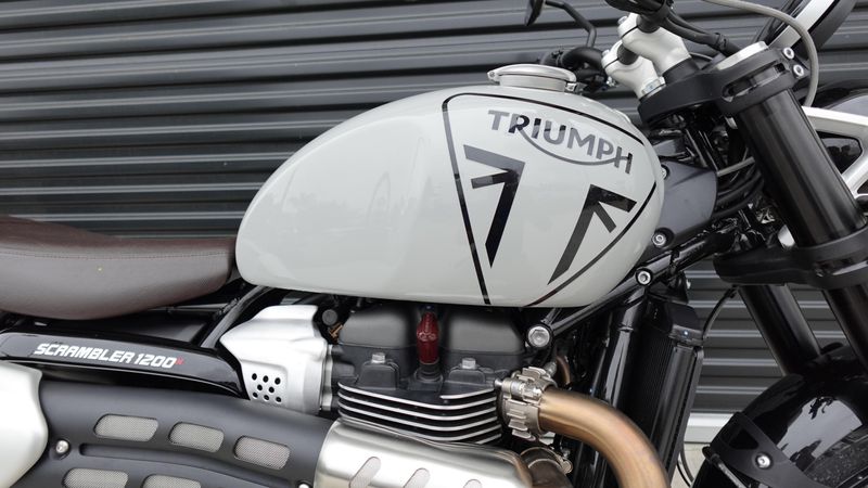 2025 Triumph Tiger 900 Rally Pro 