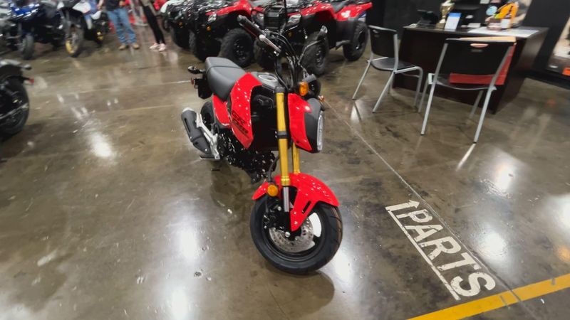 New 2025 Honda Grom Image 2