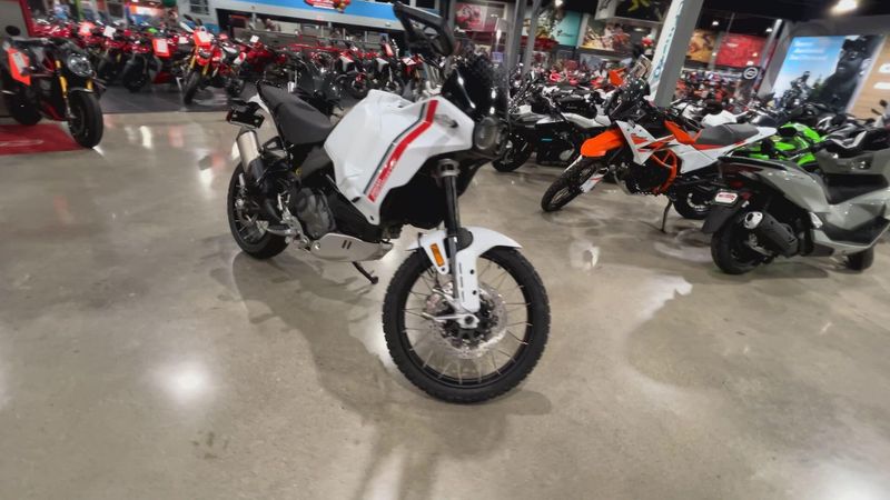 New 2025 Ducati Desertx  in a STAR WHITE SILK exterior color. Del Amo Motorsports of Redondo Beach (424) 390-7811 delamomotorsports.com 