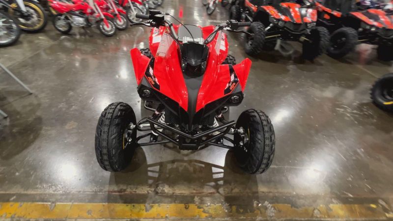 New 2026 Kayo STORM 300 Image 3