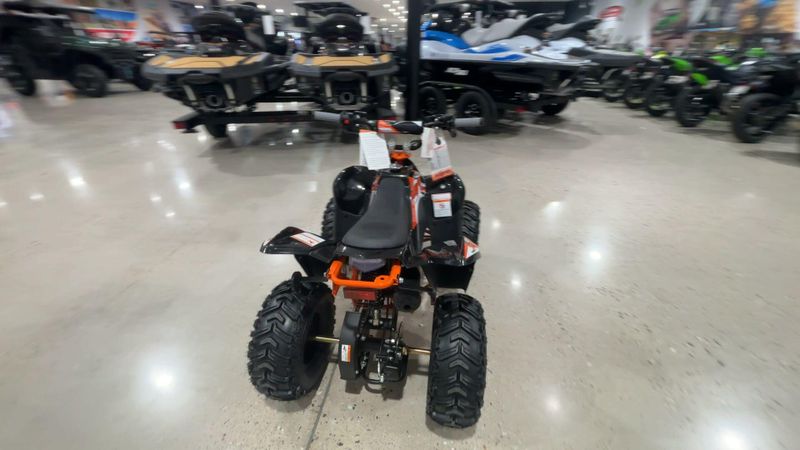 New 2026 Kayo STORM 70  in a BLACK exterior color. Victorville Del Amo Motorsports 760-241-7387 delamomotorsportsofvictorville.com 