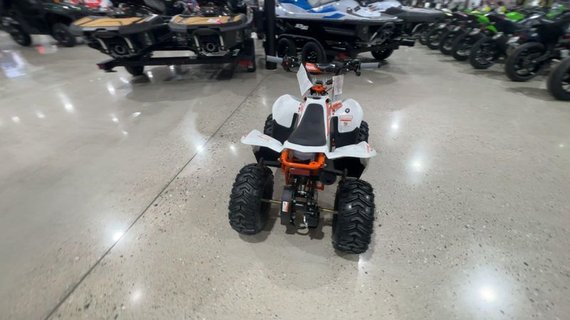New 2026 Kayo STORM 70  in a WHITE exterior color. Victorville Del Amo Motorsports 760-241-7387 delamomotorsportsofvictorville.com 