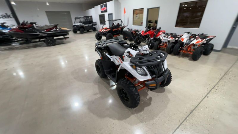New 2026 Kayo BULL 300 EFI Image 8