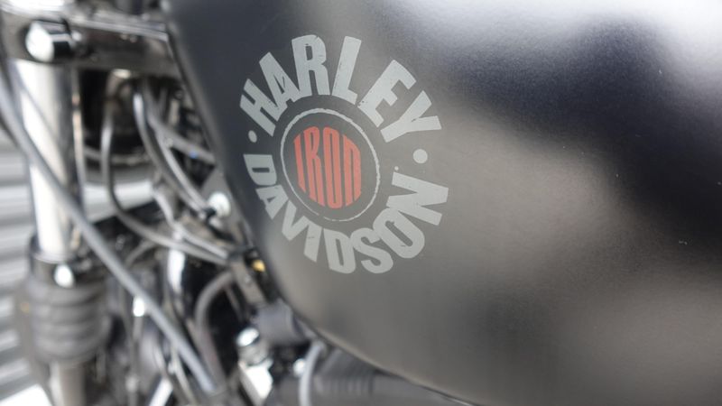 Used 2019 Harley-Davidson Sportster Iron 883 
