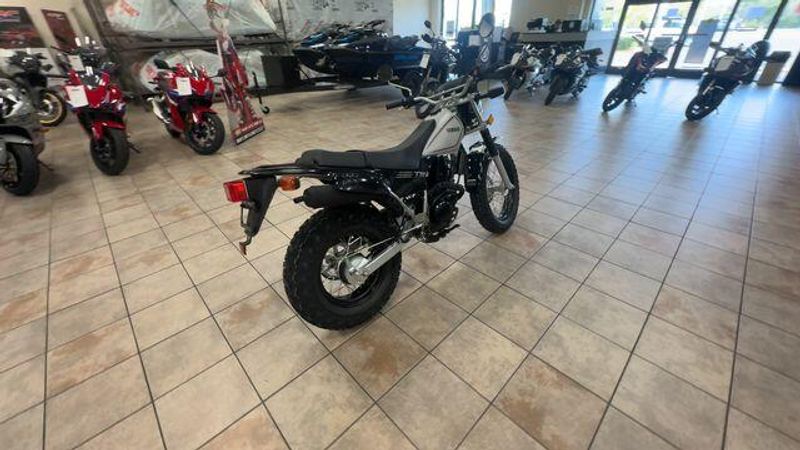 New 2027 Yamaha TW200 Image 4