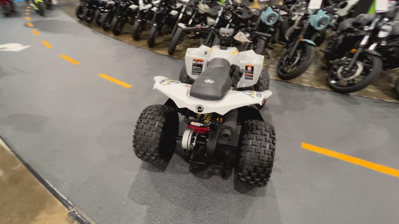 New 2026 Can-Am RENEGADE 110 EFI Image 3