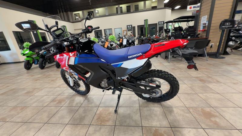 New 2025 Honda CRF300L RALLY Image 6