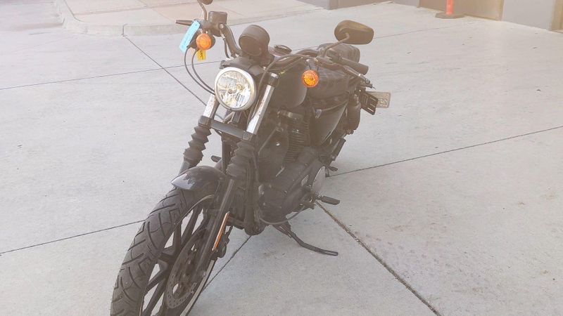 Used 2021 Harley-Davidson SPORTSTER IRON 883 Image 3