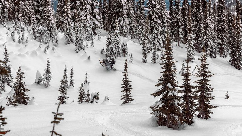 New 2026 Ski-Doo BACKCOUNTRY ADR 600R E 146 2P ETEC 120 