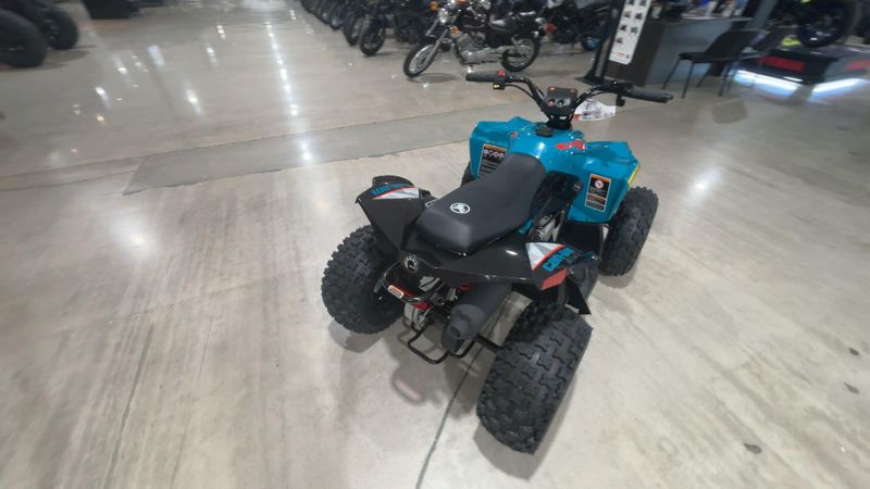 New 2026 Can-Am RENEGADE 110 EFI Image 6