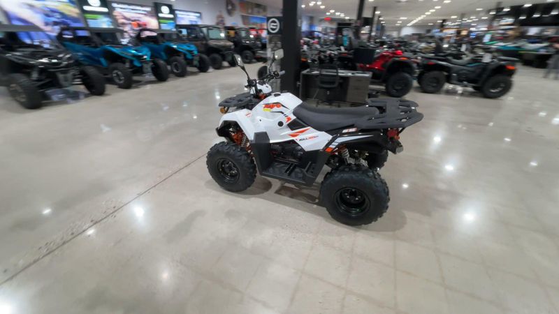 New 2026 Kayo BULL 300 EFI Image 3
