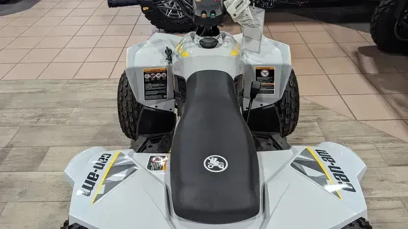 2024 Can-Am RENEGADE 110 EFI CATALYST GRAY AND NEO YELLOWImage 10