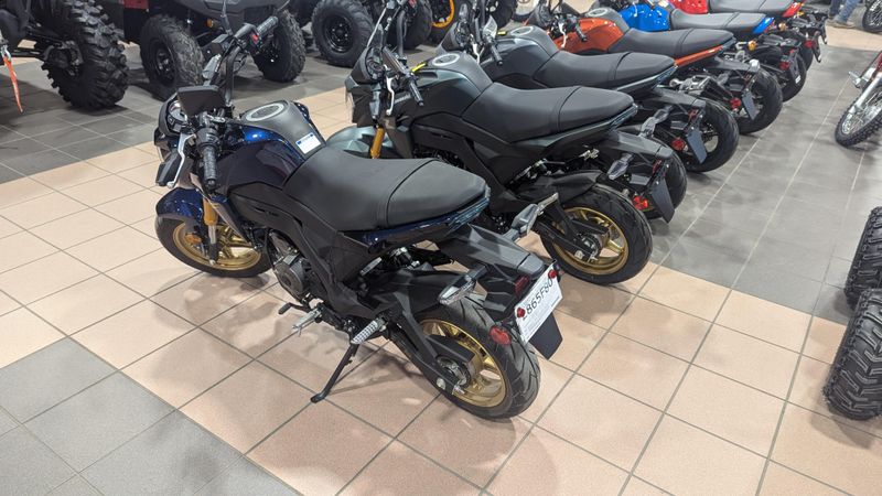 2023 Kawasaki Z125 PRO BaseImage 4