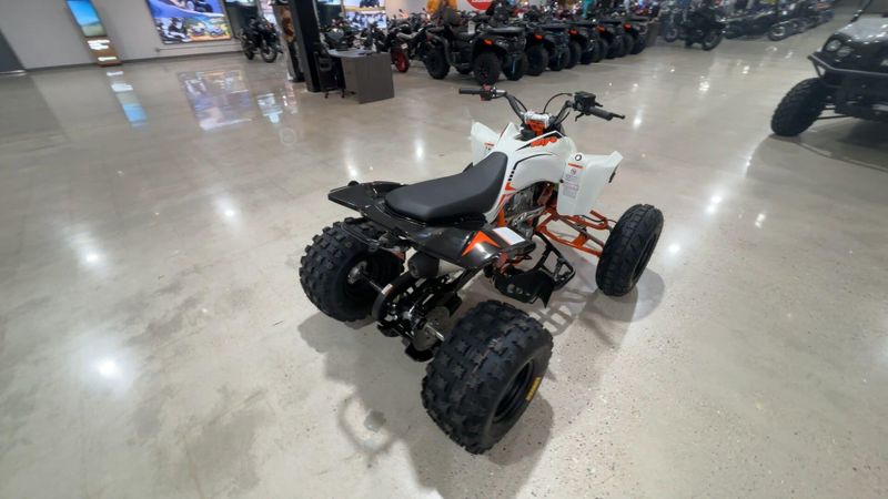 New 2027 Kayo STORM 300 Image 2