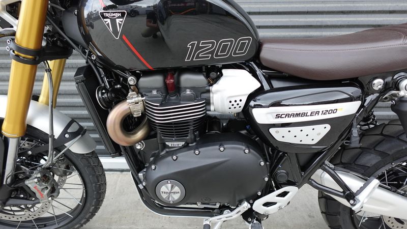 New 2025 Triumph Scrambler 1200 XE 