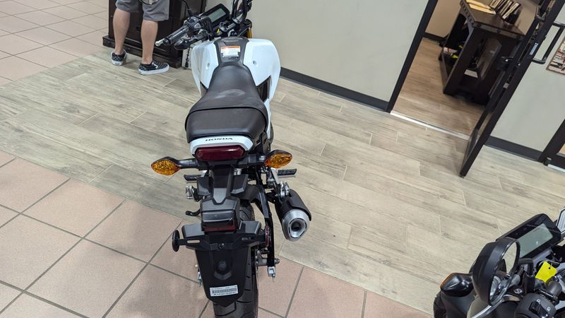 2025 Honda GROM BASE PEARL WHITEImage 9