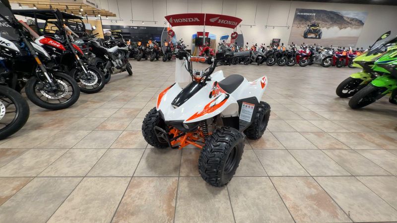 New 2026 Kayo STORM 70 Image 5