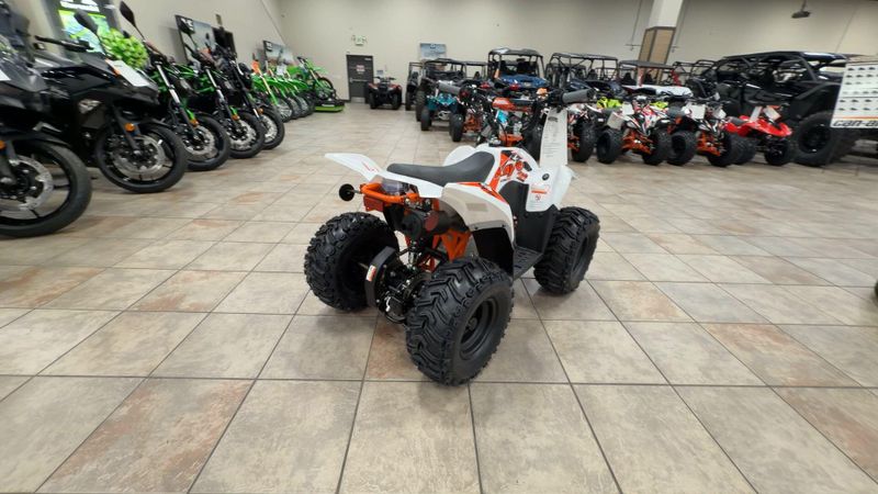 New 2026 Kayo STORM 70 Image 9