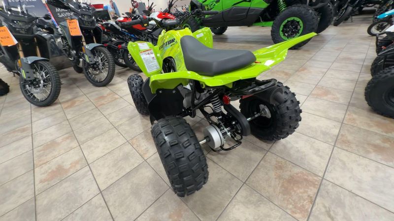 Used 2026 Yamaha Raptor 110 Image 7