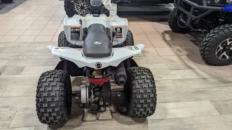 2024 Can-Am RENEGADE 110 EFI CATALYST GRAY AND NEO YELLOWImage 3