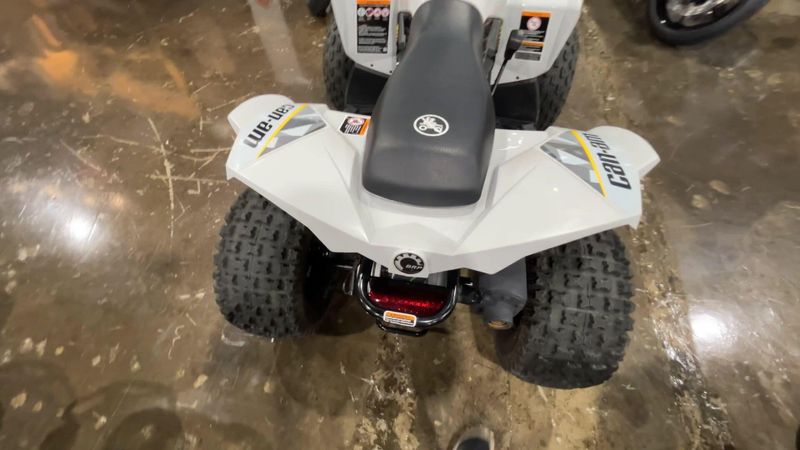 Used 2026 Can-Am RENEGADE 110 EFI Image 7