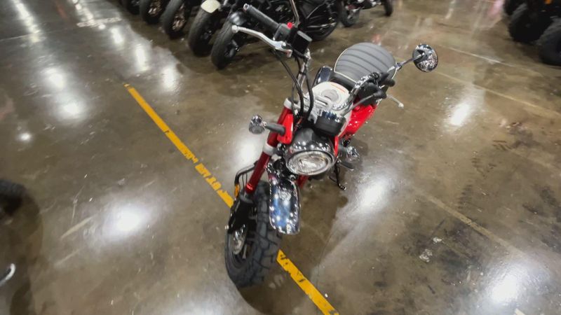 New 2025 Honda MONKEY ABS Image 4