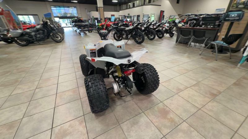 New 2026 Can-Am RENEGADE 110 EFI Image 7