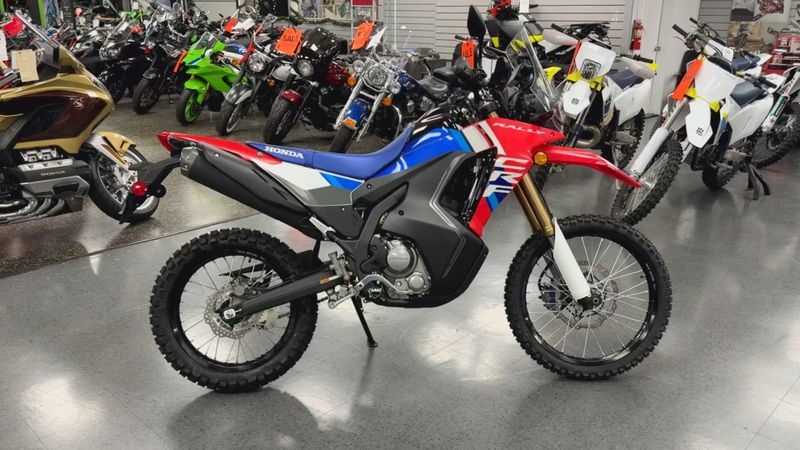 New 2025 Honda CRF300L RALLY Image 5