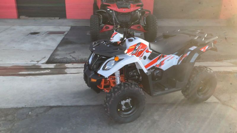 New 2025 Kayo BULL 300 EFI Image 5
