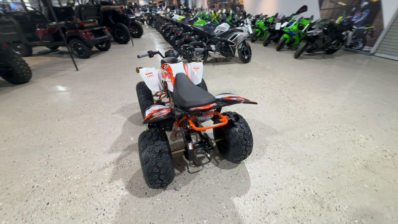 New 2026 Kayo STORM 150 EFI Image 4