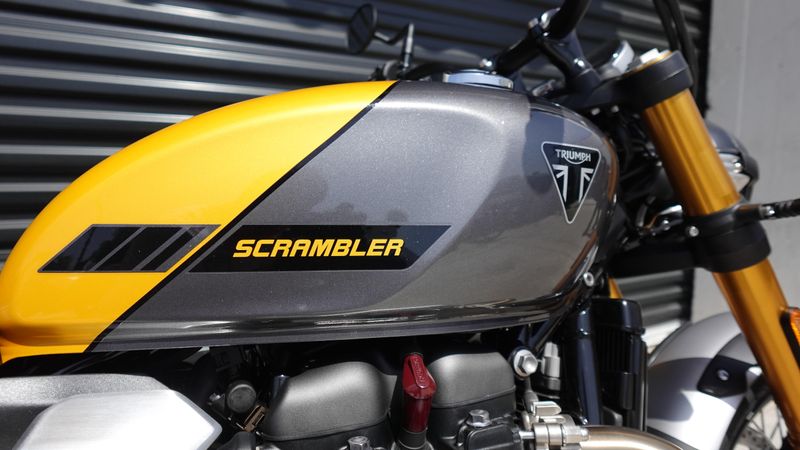 New 2026 Triumph Scrambler 900 Base 