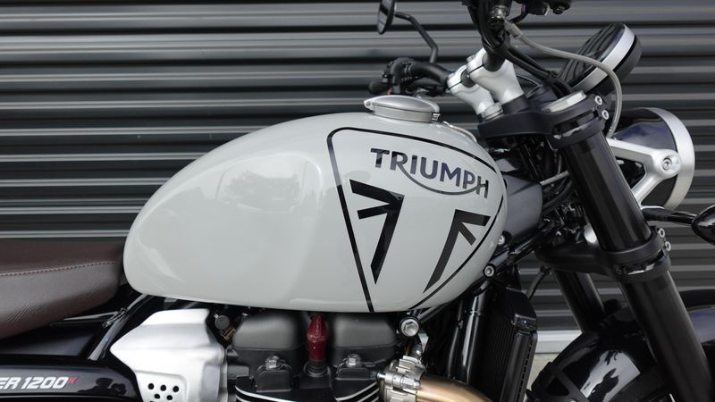 New 2025 Triumph Scrambler 1200 X 