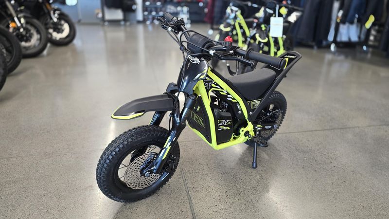 New 2026 Triumph TXP12 