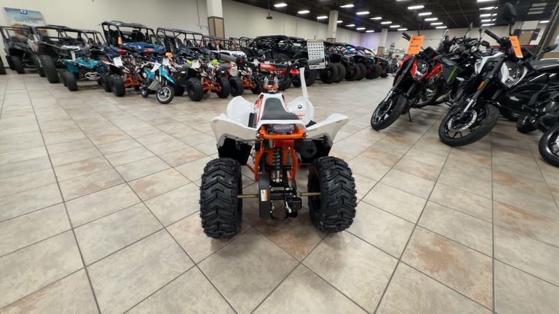 New 2026 Kayo STORM 70 Image 8