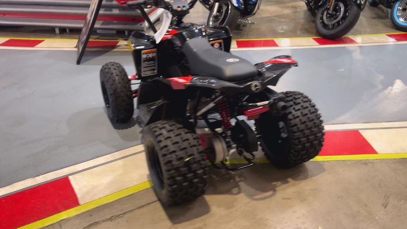 New 2026 Can-Am RENEGADE X XC 110 EFI Image 2