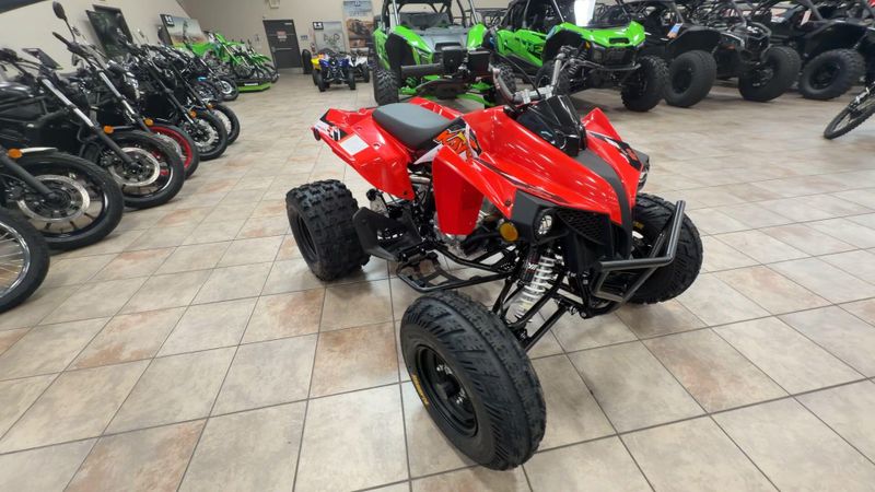 New 2026 Kayo STORM 300 Image 3