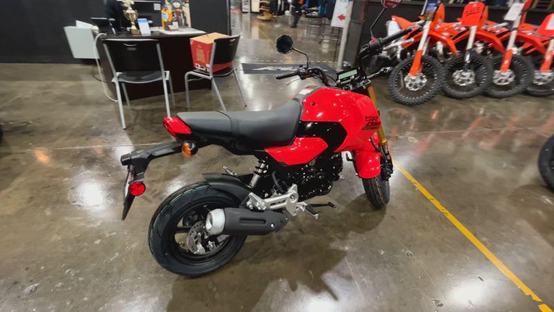 New 2025 Honda Grom Image 8