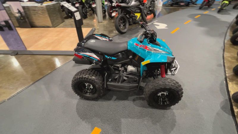 New 2026 Can-Am RENEGADE 70 EFI Image 5