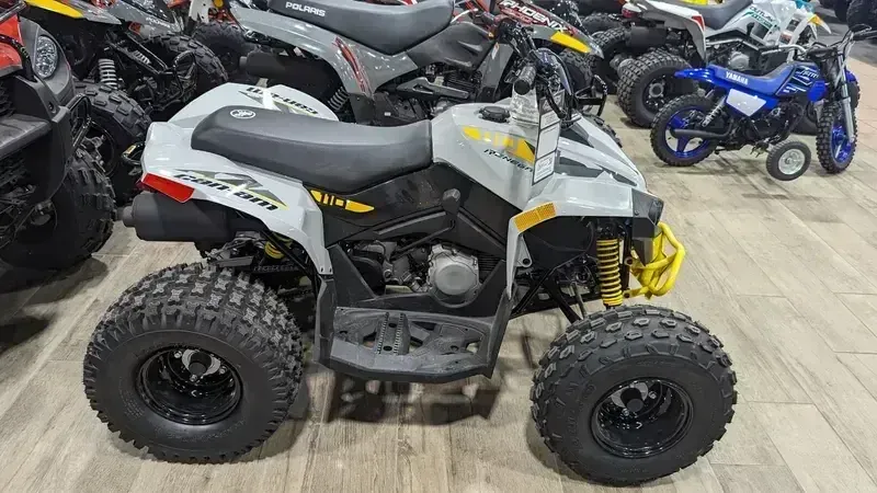 2024 Can-Am RENEGADE 110 EFI CATALYST GRAY AND NEO YELLOWImage 2