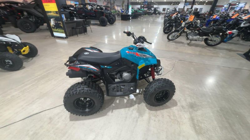 New 2026 Can-Am RENEGADE 110 EFI Image 7