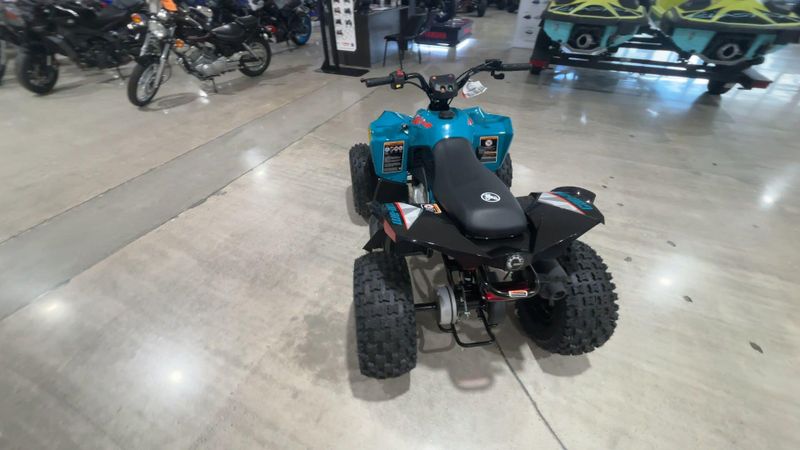 New 2026 Can-Am RENEGADE 110 EFI Image 5