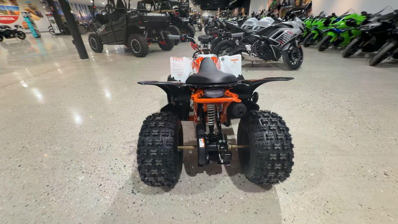 New 2026 Kayo PREDATOR 125 EFI Image 2
