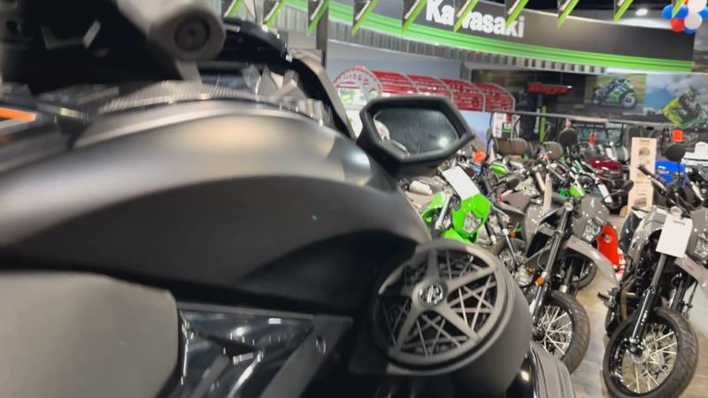 New 2025 Yamaha FX CRUISER SVHO W/AUDIO Image 4