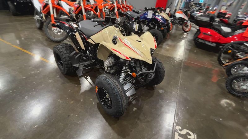 New 2025 Kymco MONGOOSE 270I Image 2